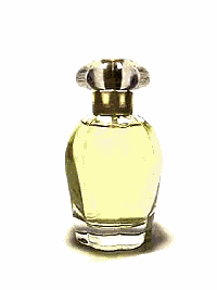 女性香水-雪之戀.jpg (9201 bytes)